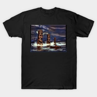 Apodaca Lake T-Shirt